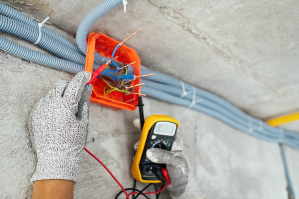 Best Home Electrical Repair  in Orlinda, TN